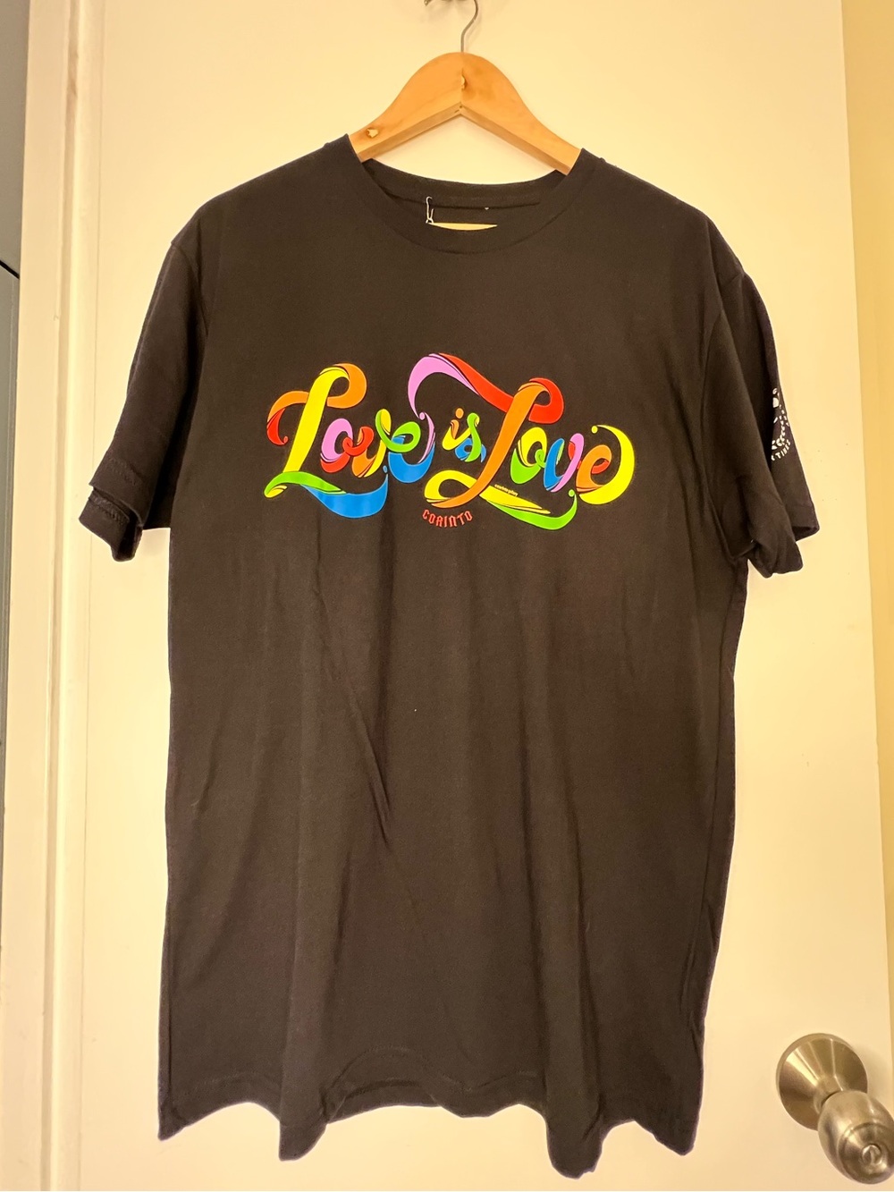 Black Men’s T-shirt, LGBTQ Pride / “Love is Love” by local DC artist. NWT.